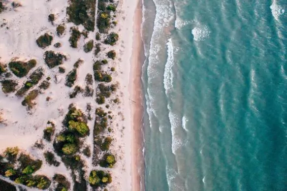 Aerial of Thompson's Harbor State Park's shoreline.