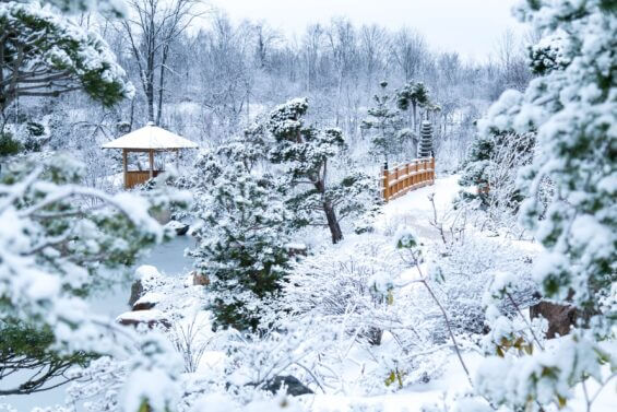 Frederik Meijer Gardens and sculpture park covered in snow in the winter.