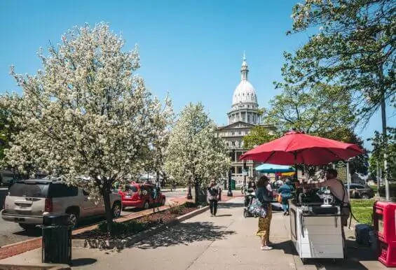 Lansing Area