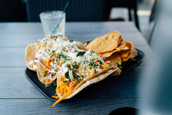 Delicious tacos pictured at one of Michigan's many food festivals
