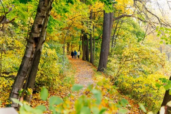 Coming Home to Mid Michigan: A Gateway to Thriving in the Great Lakes State