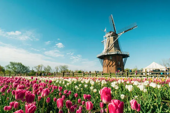 Holland’s Tulip Time Festival